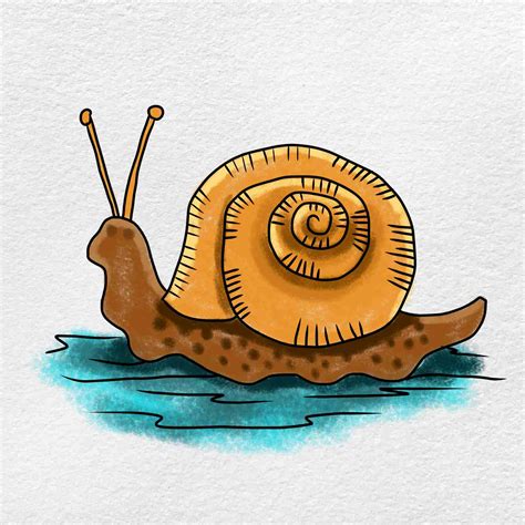 Snail Drawing - HelloArtsy