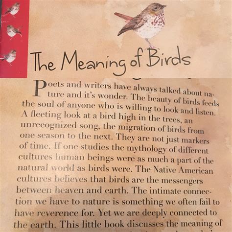 The meaning of birds on Behance