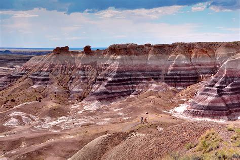 North American Desert | Climate, Flora & Fauna | Britannica