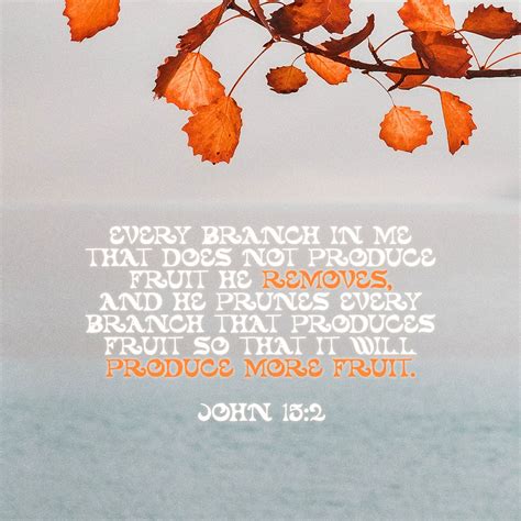 John 15:1-27 “I am the true vine, and my Father is the gardener. He ...