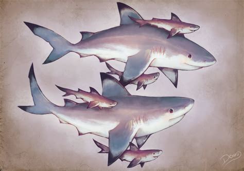 Blacktip Sharks Family by 6Doug9 on deviantART | Shark art, Shark, Sea ...