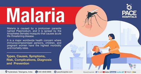 Malaria Symptoms Causes Types Complications Prevention – NBKomputer