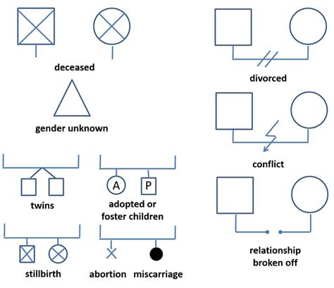 Genogram definition, origin and instructions