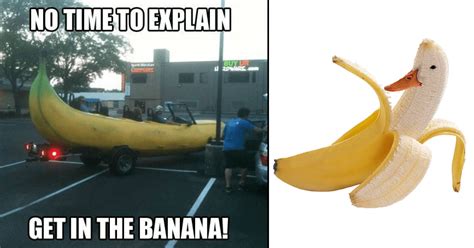 A Bunch of Banana Memes That Are Extremely Appealing - Memebase - Funny ...