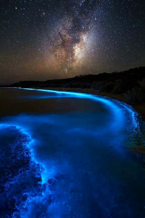 hellchildjavo: “Bioluminescent Bay by James Garlick ” | Nature, Nature ...