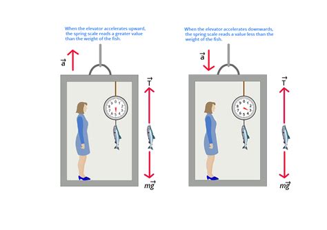 How Is Frame of Reference Used to Describe Motion