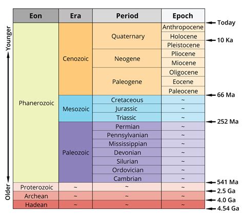 Digital Encyclopedia of Ancient Life - Digital Atlas of Ancient Life