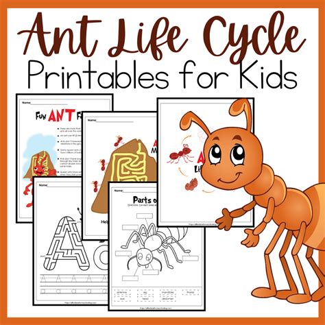 Printable Ant Life Cycle Activities for Kids