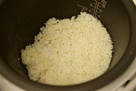 Instant Pot Coconut Rice – CICCIA BELLA