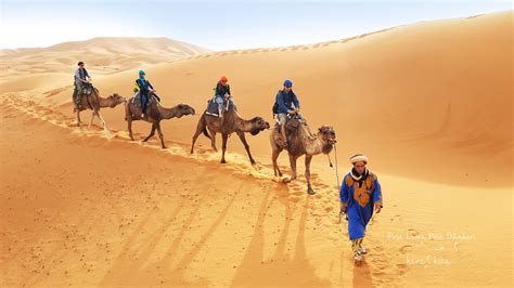 Morocco: The Desert Experience - Sahara on Camel and the Tuareg - Here ...