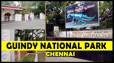 Guindy National Park | Children's Park Chennai | - YouTube