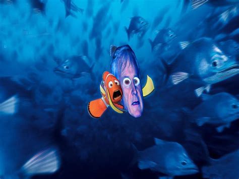 Mr Ray Finding Nemo Quotes. QuotesGram