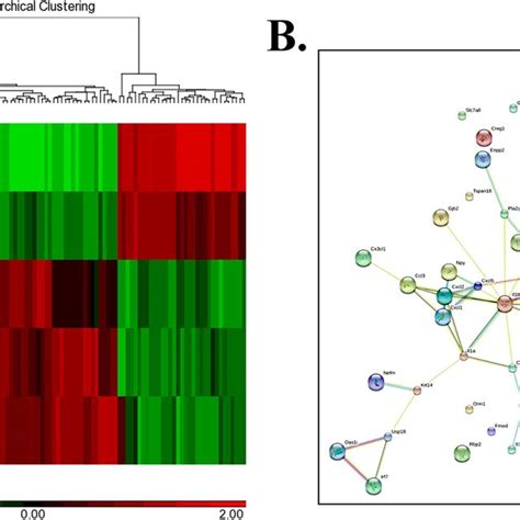 Gene array analysis, protein-protein interactions, and function ...