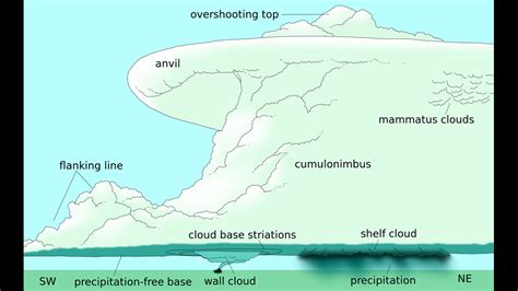 Storms: Supercells, Cumulonimbus, updraft, downdraft, anvil | whas11.com