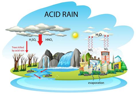 Acid Rain Pathway