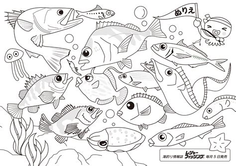 最高のコレクション 塗り 魚 イラスト ぬりえ 133073-魚 イラスト かわいい ぬりえ