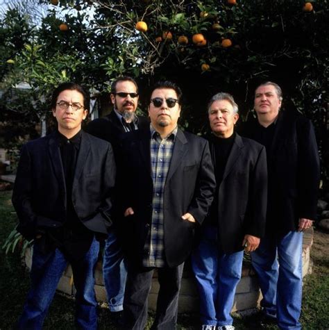 Los Lobos Albums, Songs - Discography - Album of The Year