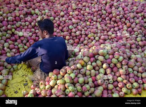 Kashmir apple hi-res stock photography and images - Alamy