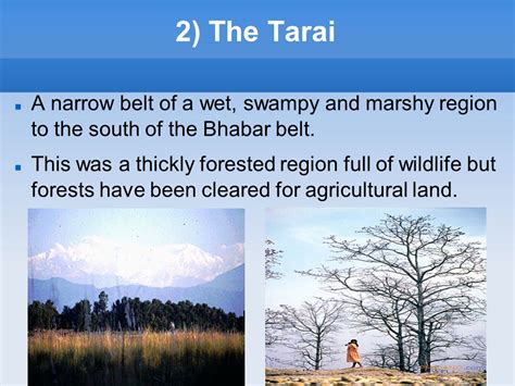 THE NORTHERN PLAINS OF INDIA - ppt video online download