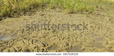 Alluvial Soil Texture Agricultural Land Stock Photo 1867228120 ...