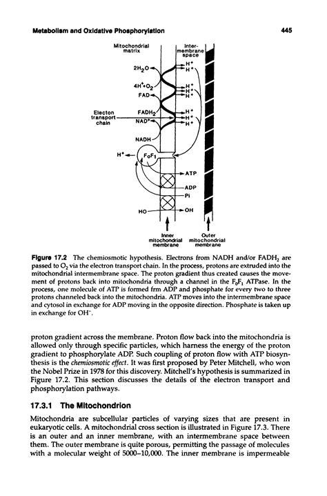 Gradient transport hypothesis - Big Chemical Encyclopedia