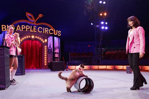 At the Big Apple Circus, these clever kitties rule the ring