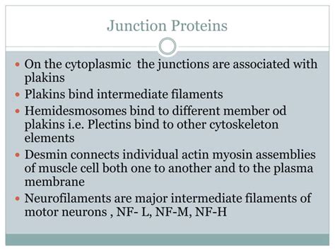 Intermediate filaments | PPT