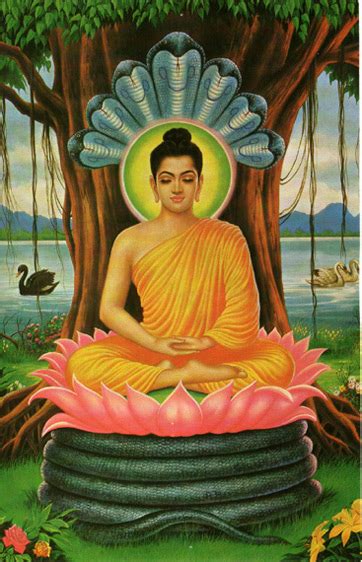 Buddha's Origin, Story & Enlightenment | Study.com