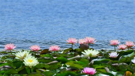 Chinese landscape photography 8941599 Stock Photo at Vecteezy