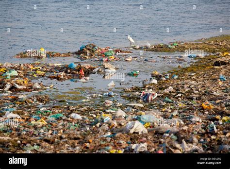 Pollution along the riverbank of the Ganges River in Varanasi India ...