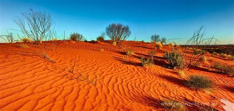 Great Sandy Desert - Alchetron, The Free Social Encyclopedia