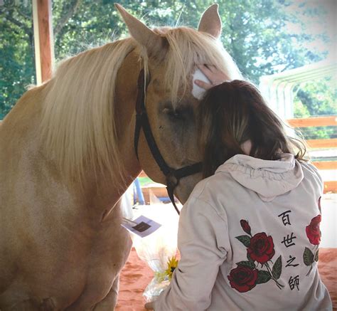 Equine Reflections | Equine Assisted Psychotherapy located in Louisiana