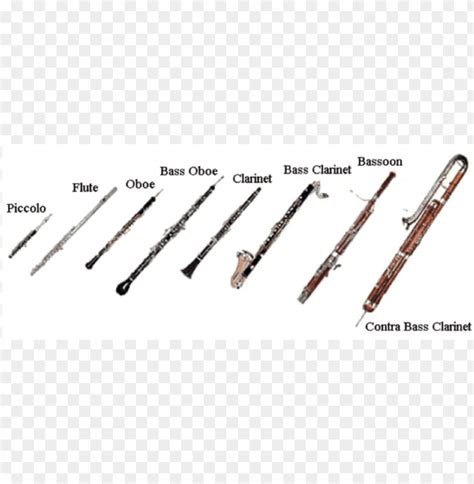 symphony orchestra woodwind instruments PNG image with transparent ...