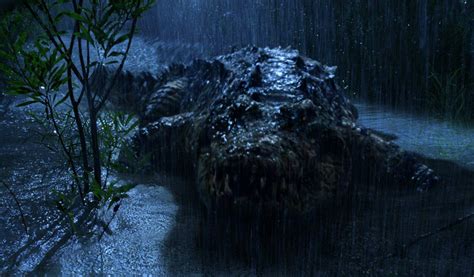 Giant Crocodile Gustave Captured