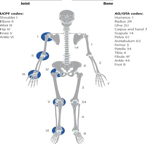 Unified Classification System for Periprosthetic Fractures ...