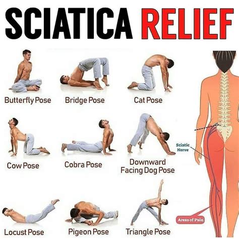 Exercises For Sciatica Printable