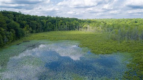 Exploring the Mattaponi River | Chesapeake Bay Magazine