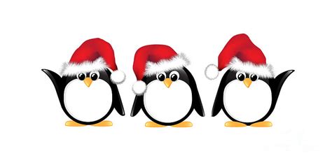 Christmas penguins isolated Photograph by Jane Rix - Fine Art America