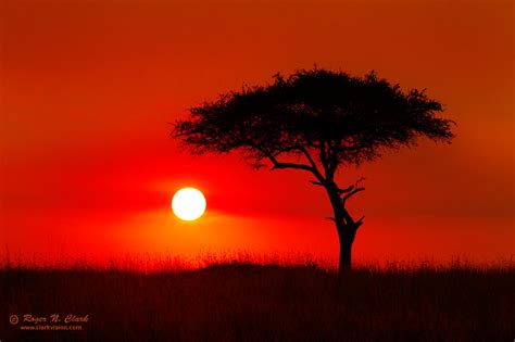 ClarkVision Photograph - Northern Serengeti Sunset