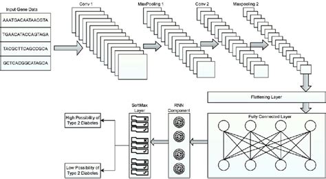 Layered architecture diagram of the RNN model. | Download Scientific ...