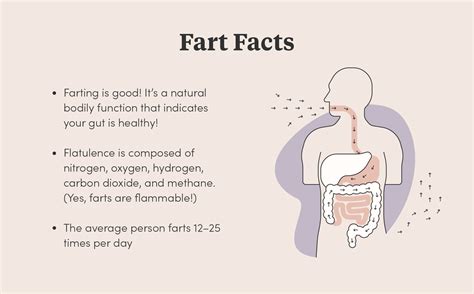 Why does trapped gas smell so bad? [2022] | QAQooking.wiki