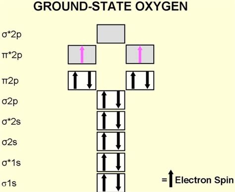 Ground state electron configuration Definition, rules, elements, and more