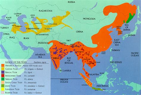 Transhu: Siberian Tiger Habitat Range Map