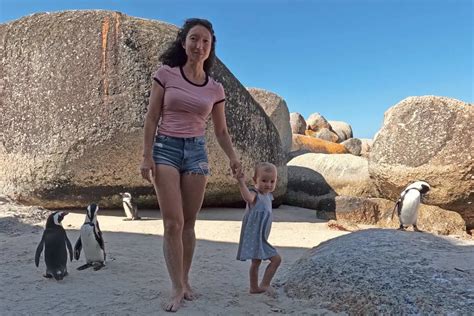 Visit the Penguins at Boulders Beach in Cape Town 2023 - STINGY NOMADS