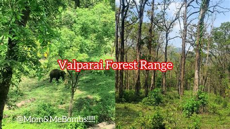 Valparai Trekking/ Valparai Forest Range/ Travel through Valparai ...