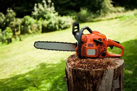 3 Best Chainsaw Sharpening Tools - Gardenia Organic