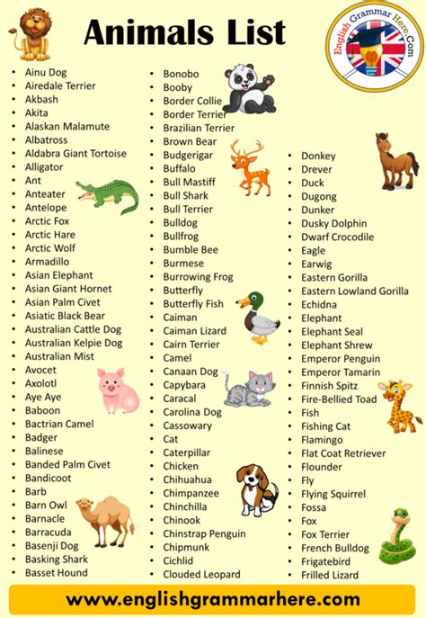 50 animals name, Detailed Animals Names List - English Grammar Here