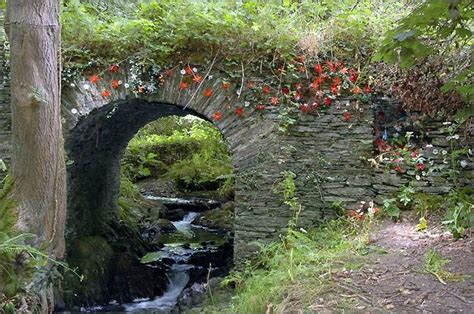 an old stone bridge over a stream in the woods with red flowers growing ...