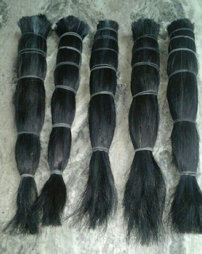 Cow Black Tail Hair, Weight : 100-150gm at best price INR 350INR 400 ...