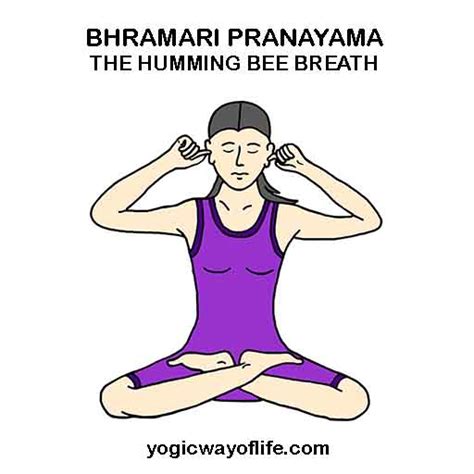 Bhramari Pranayama - The Humming Bee Breath